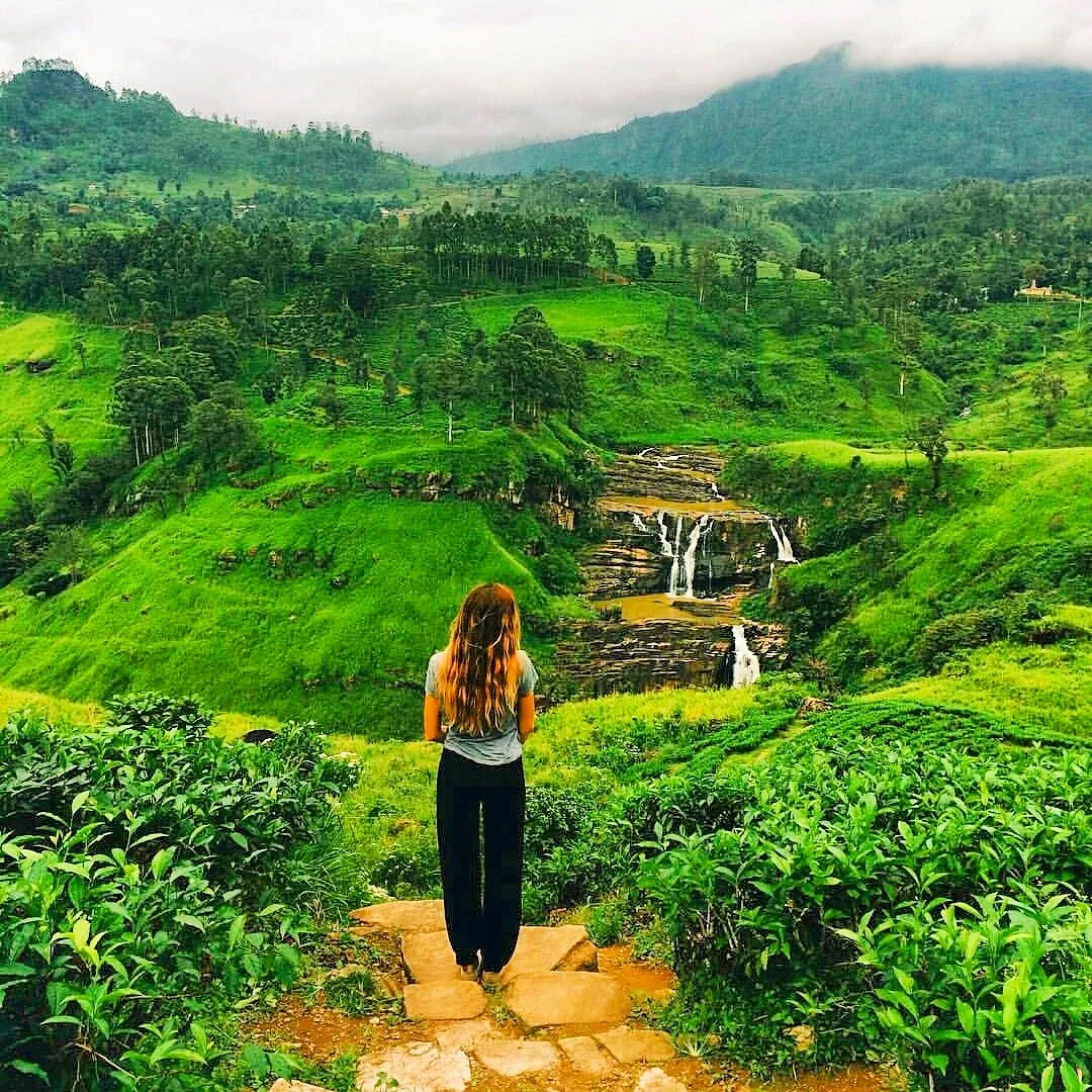 Nuwara Eliya tea country
